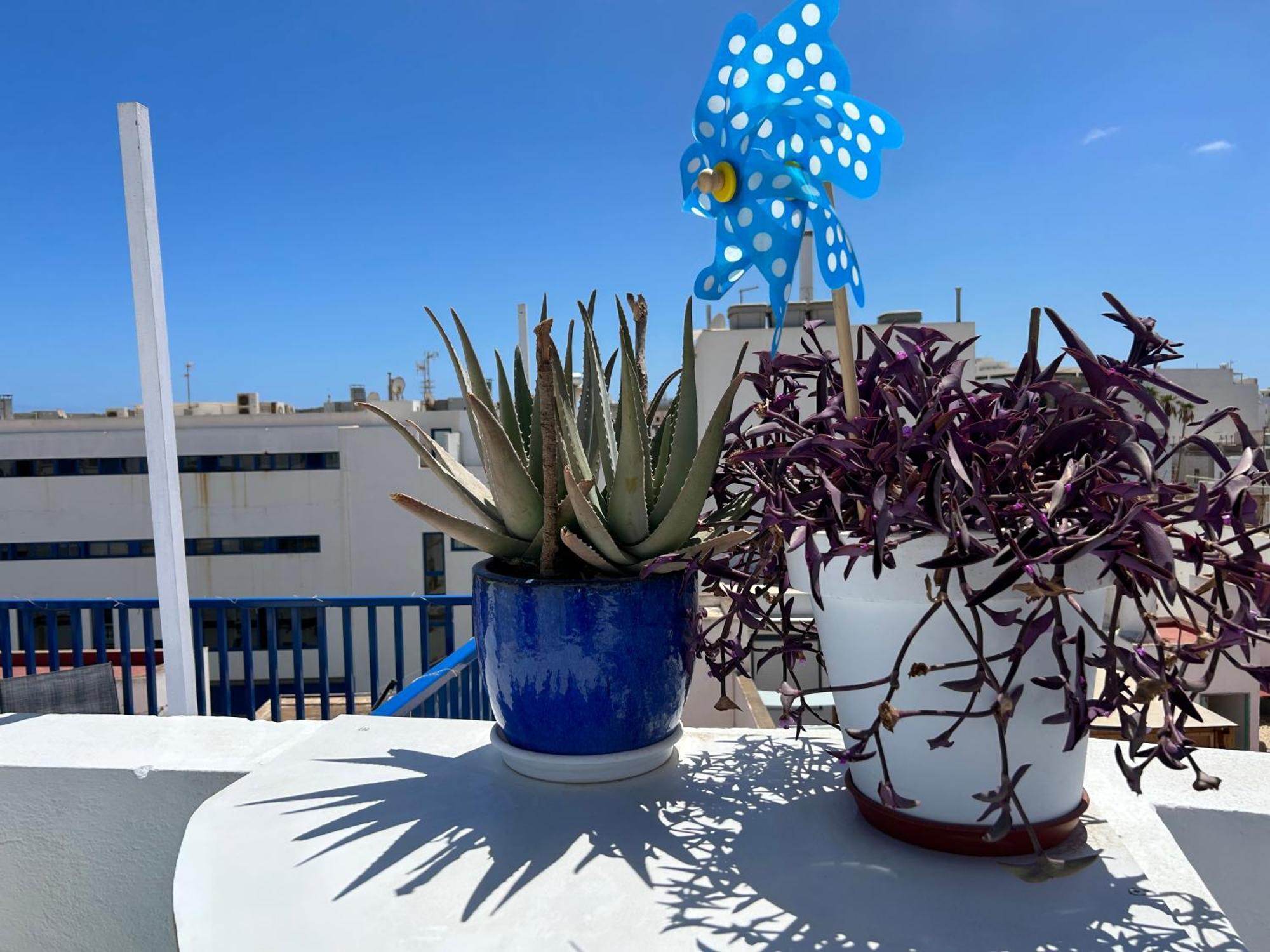 La Buganvilla Rooms Arrecife  Buitenkant foto